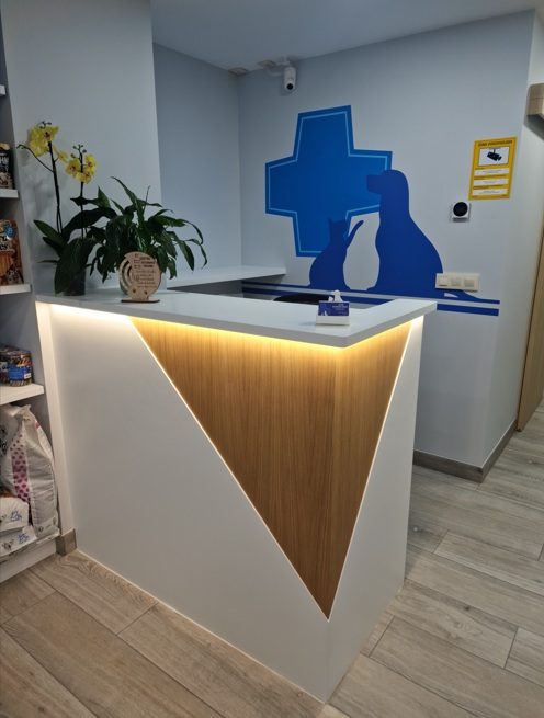 Recepción